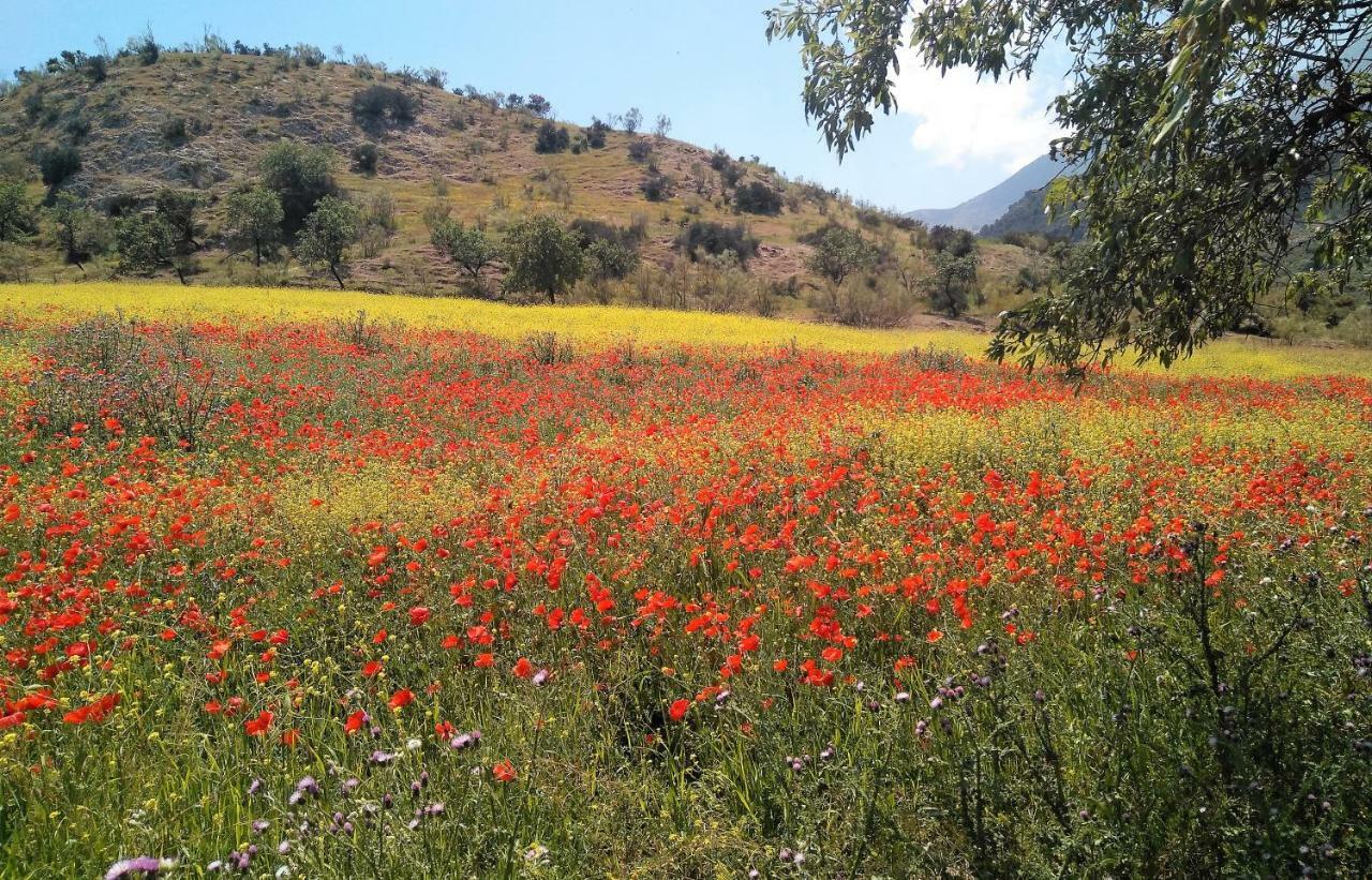 Magina Dream La Guardia Turismo Rural La Guardia de Jaén Esterno foto